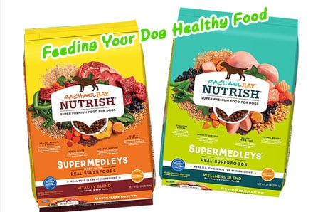 Dog Food Bag-Feeding Your Dog Healthy Food